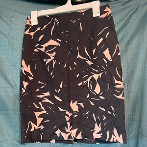 Ann Taylor Pencil Skirt